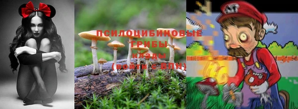 ECSTASY Балахна
