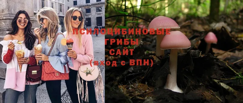 Псилоцибиновые грибы MAGIC MUSHROOMS  Ворсма 